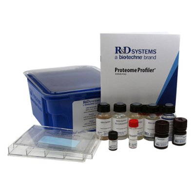 Array Kit, Proteome Profiler Human XL Oncology Array, 1 Kit