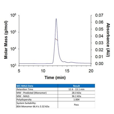 Protein, Recombinant Human R-Spondin 3 Protein, CF, 25 &micro;g