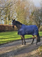 Bucas Cosy Stable 155 Navy