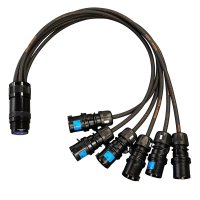 elumen8 Socapex 19-Pin Female &ndash; 16A Male 2.5mm Fan-In Cable