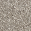REVIVE OASIS 851 NORDIC BREEZE 4M