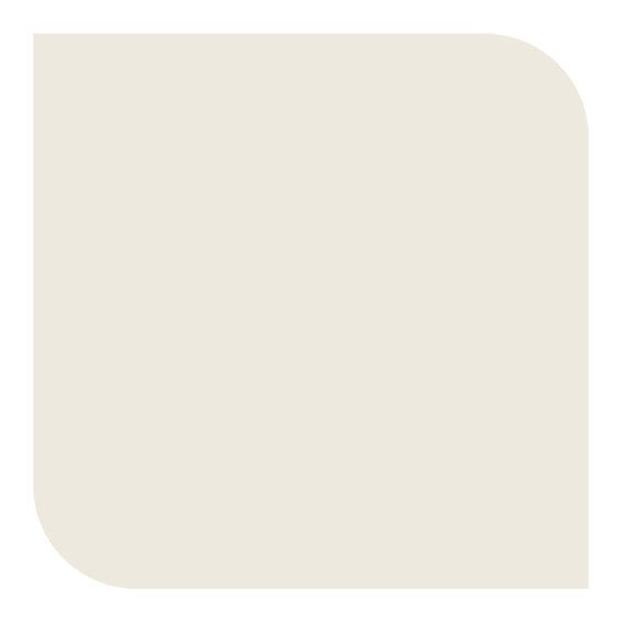 Dulux Easycare Washable Matt Country White Paint Pat McDonnell Paints