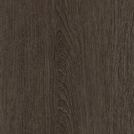 Tulip Dark - NF71
