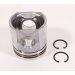 PISTON BODY C/W CLIPS
