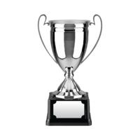 29cm Swatkins Replica Nickel Plated Cup