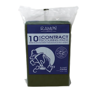Ramon 10 Pack Green Scouring Pads
