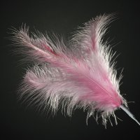 3 Feathers Spray Pink (H)28cm - Pack of 36