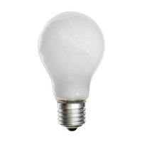 Lamp SPEPG100PES 100W GLS Pearl Lamp ES