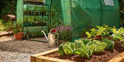 Greenhouses & Polytunnels