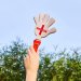 England Hand Clapper -Pack of 1