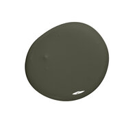 Colourtrend Natterjack Interior Matt Colour Swatch