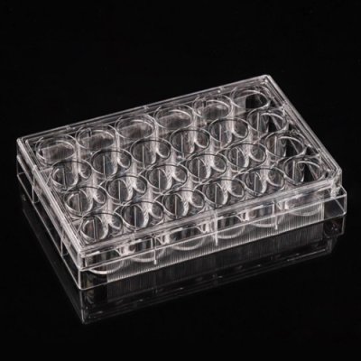 Cell Culture Plates