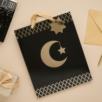 Moon & Star Large Gift Bag - Pack of 1