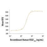 Protein, Recombinant Human VEGF 165 Protein, 50 &micro;g
