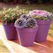 Ronseal Garden Paint Purple Berry Lifestyle