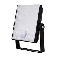 10W LED Floodlight 800LM 4000K Pir Black