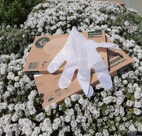 COMPOSTABLE GLOVES VARIOUS SIZES