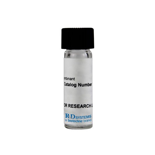 Protein, Recombinant Human Integrin alpha 4 beta 7 Protein, CF, 50 &micro;g