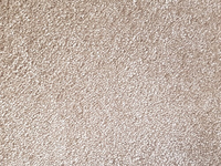 TENDER TOUCH 69 EGGSHELL 5M