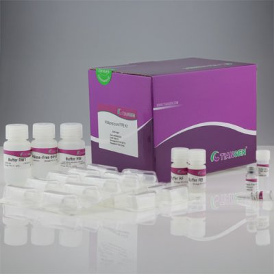 RNAprep pure FFPE Extraction Kit