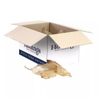 Hollings Cow Ears Bulk Box 1x50pcs