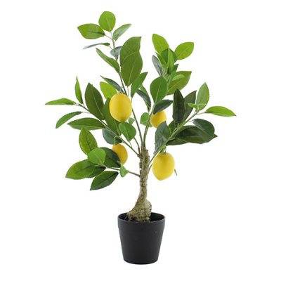 Artificial Lemon Tree - H50cm