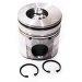 PISTON BODY & CLIPS