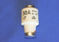 Fuse  50 Amp DZIII