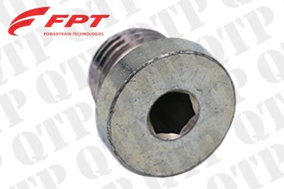 Engine Block Plug