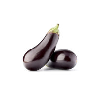 Aubergine (Patlican)Single