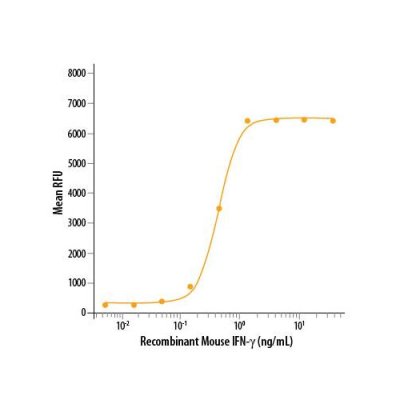 Protein, Recombinant Mouse IFN-gamma Protein, CF, 100 &micro;g