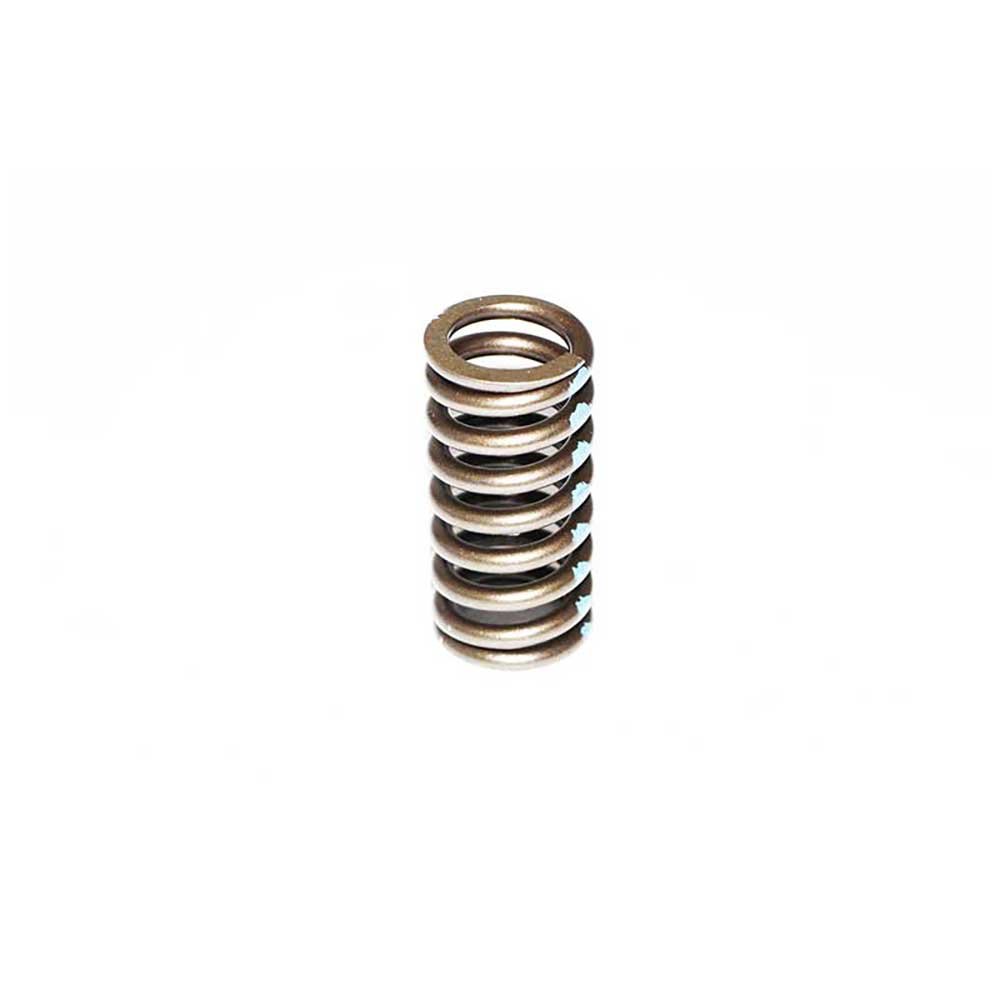 VALVE SPRING