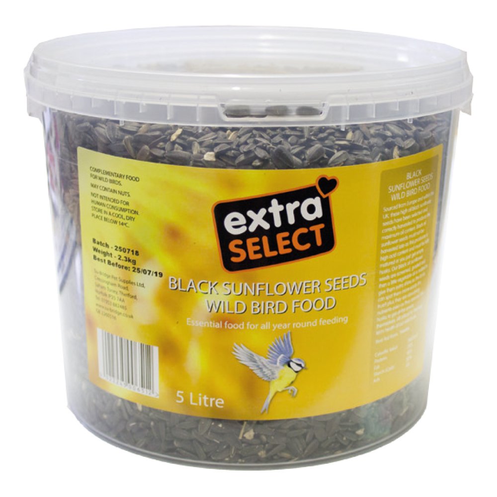 Extra Select Black Sunflower In Bucket 5ltr