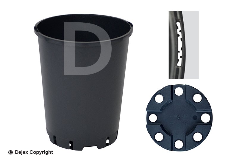 2lt SOPARCO SH DEEP ROSE BLACK PP_85 NET