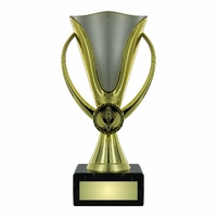 14cm Gold & Silver Plastic Cup on Marble