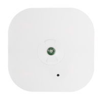 ESP Duceri Emergency Self Test Surface Downlight 3W LED IP44 Int