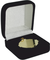 Flocked Medal Box MI Series Medals
