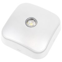 White Cyclops surface emergency downlight