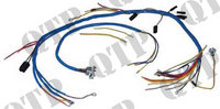 41352_Wiring_Loom.jpg