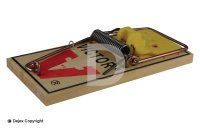 WOODEN MOUSE TRAP TWINPACK
