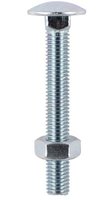 Cup Head Bolt & Nut M10 X 100 Pack of 24