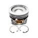 PISTON BODY C/W CLIPS