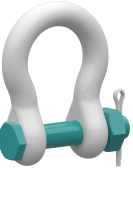 Bow Shackle with Safety Bolt Special