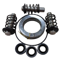 STIGA - HPS 550 R - PISTON & SEALS KIT
