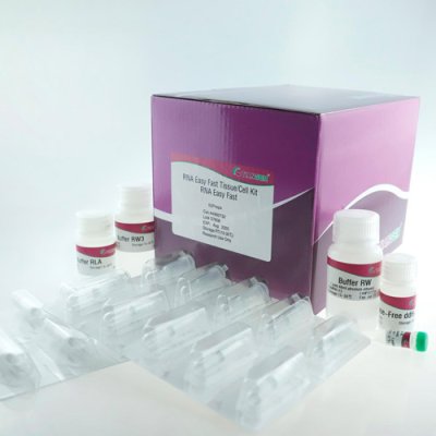 RNA Easy Fast Tissue/Cell Extraction Kit