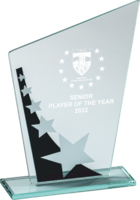 17cm 4mm Glass Plaque (Black with Stars)