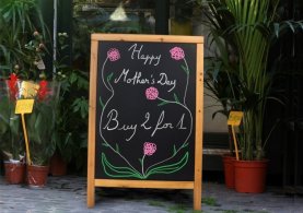 Wall & Floor Signage