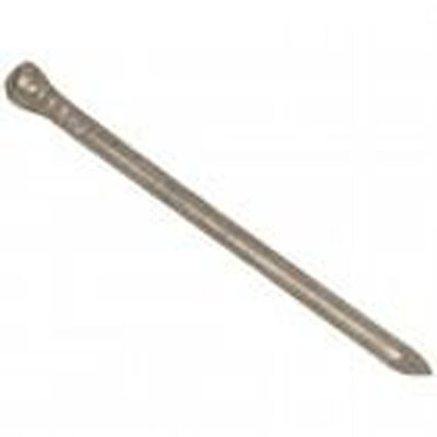 Bright Panel Pins 40 x 1.60 0.5kg 19003089