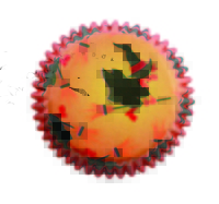 BC743 BC HALLOWEEN WICKED WITCHES 60PK