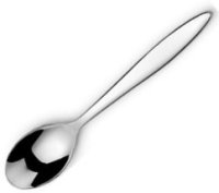 Polar Teaspoon 18/10